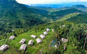 Kaura Bali